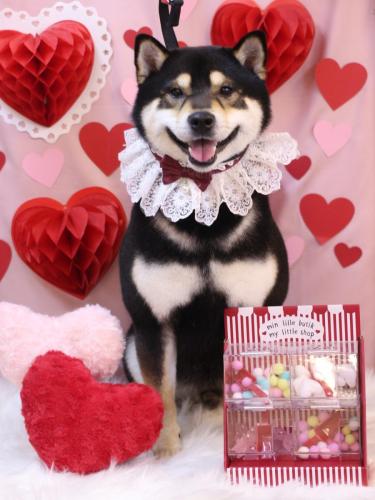 20240211ココくん